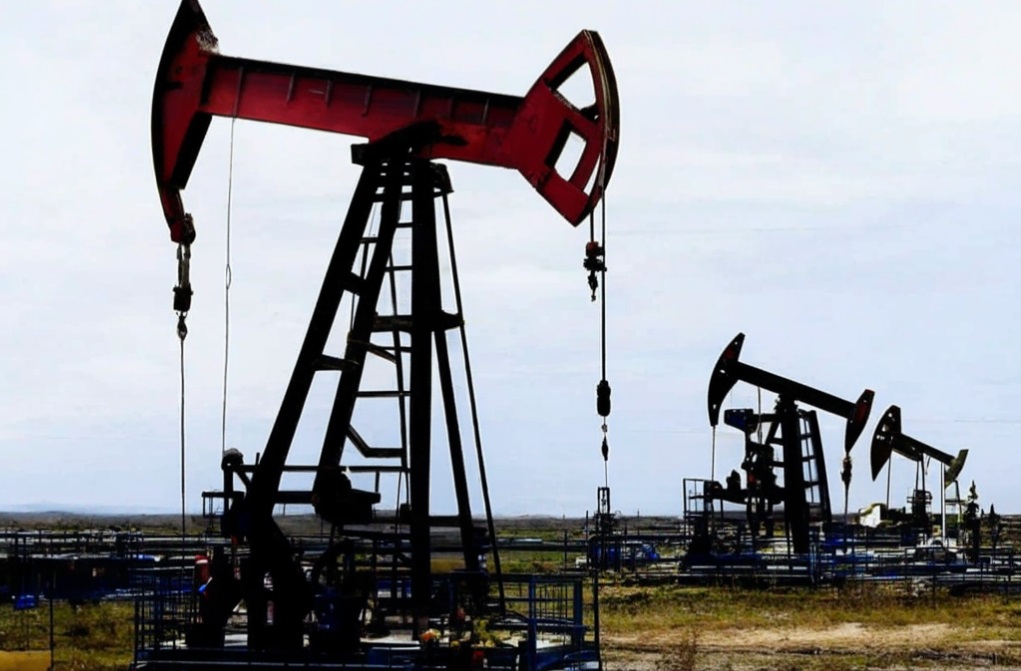 Инвентаризация + ПДВ (НДВ) Нефтедобывающее предприятие 2024 г.